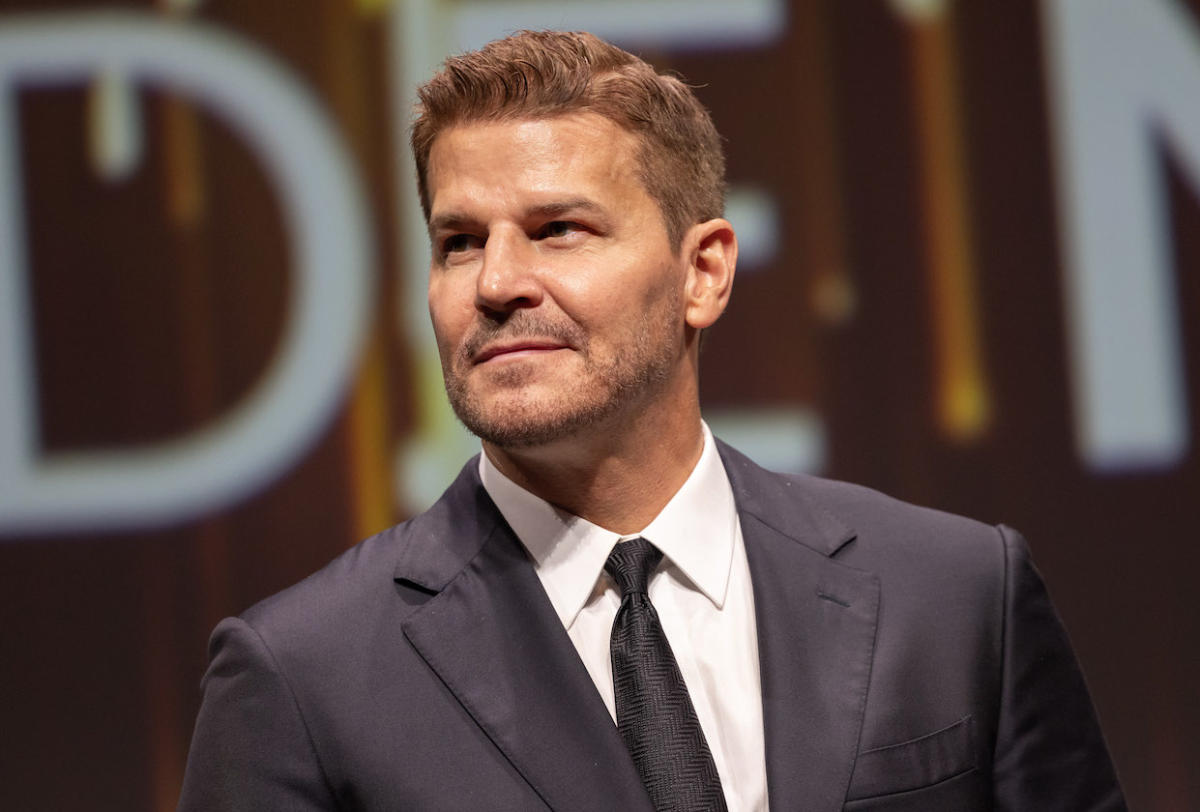 David Boreanaz teases plan to extend his 27-year employment streak after SEAL Team ends